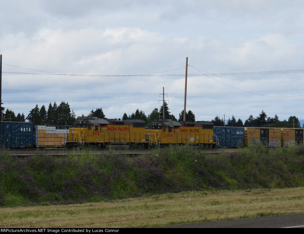 GP38s In The Yard